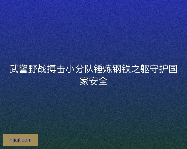 武警野战搏击小分队锤炼钢铁之躯守护国家安全