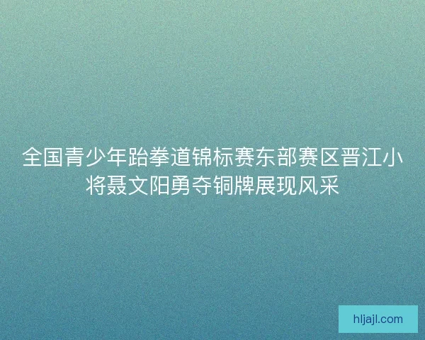 全国青少年跆拳道锦标赛东部赛区晋江小将聂文阳勇夺铜牌展现风采
